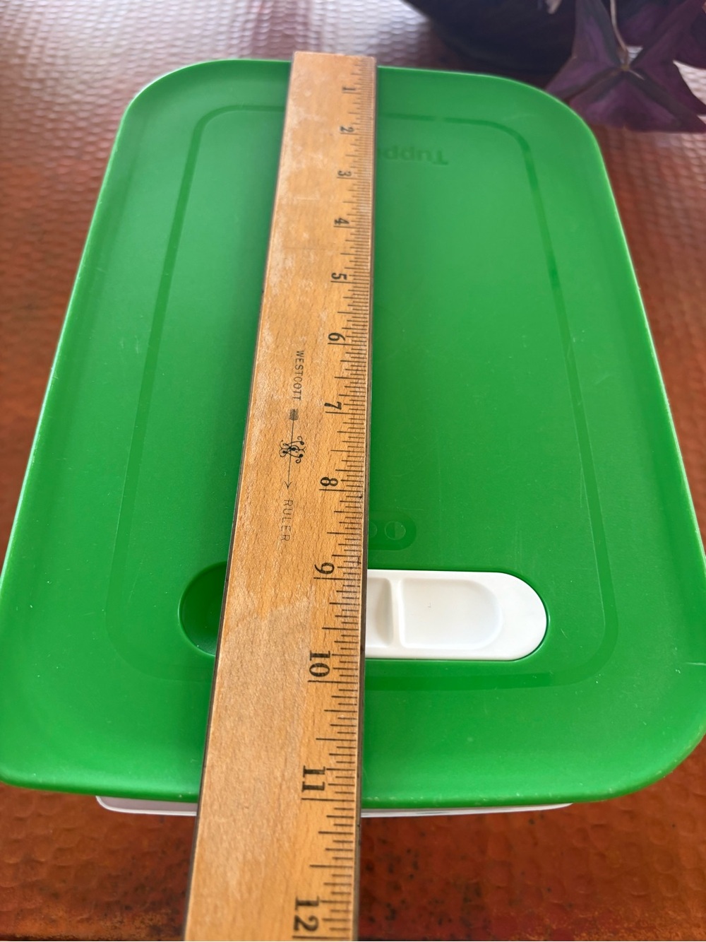 Tupperware Produce Storage Smart FridgeSmart Green Lid Food Storage Container - Picture 6 of 11